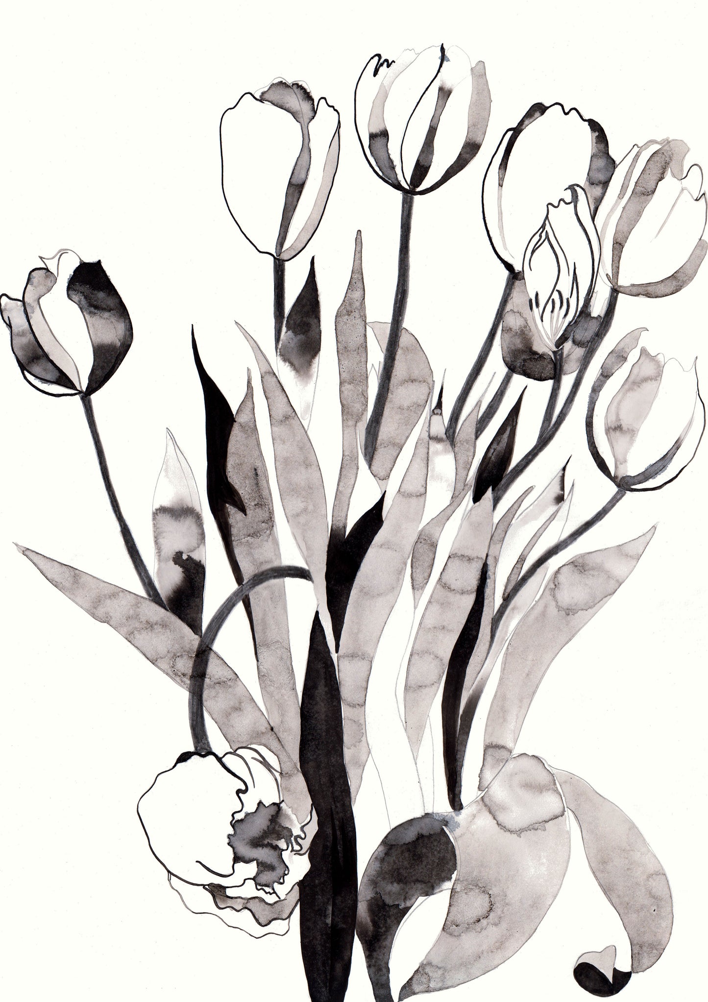 Stem and Sway - monochrome fine art print